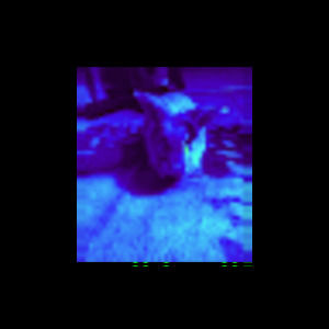 Meet your Posher, Robert